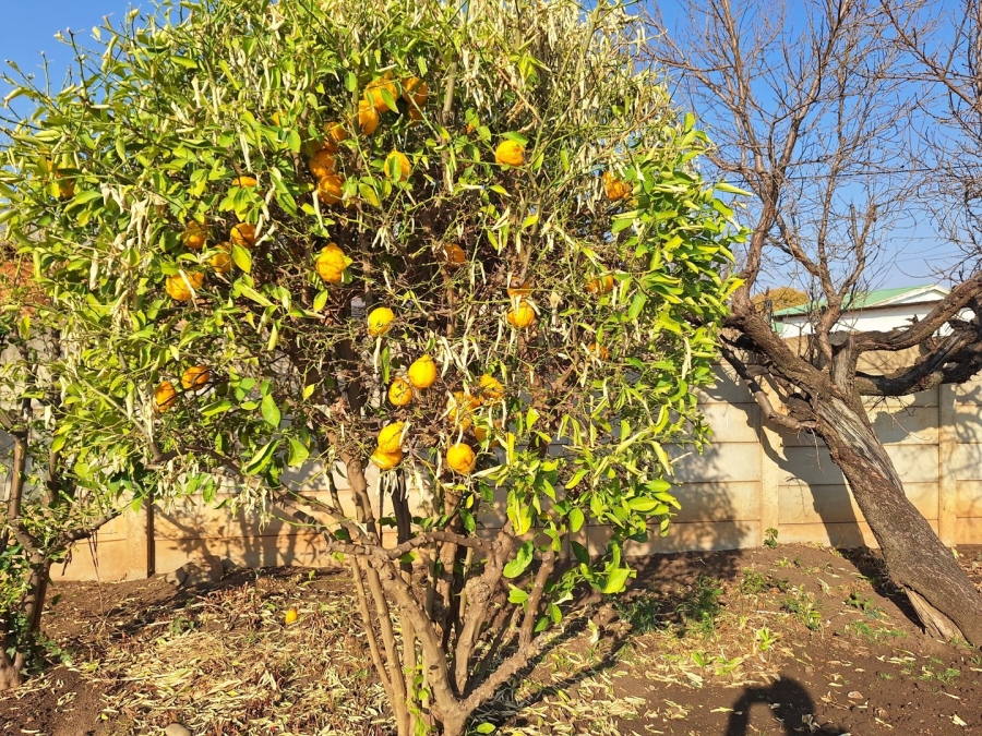 4 Bedroom Property for Sale in Potchefstroom North West